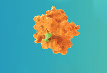 Targeting KRAS G12C in Cancer 