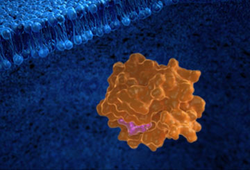 toughest-challeges-video-kras-desktop