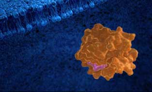 toughest-challeges-video-kras-mobile