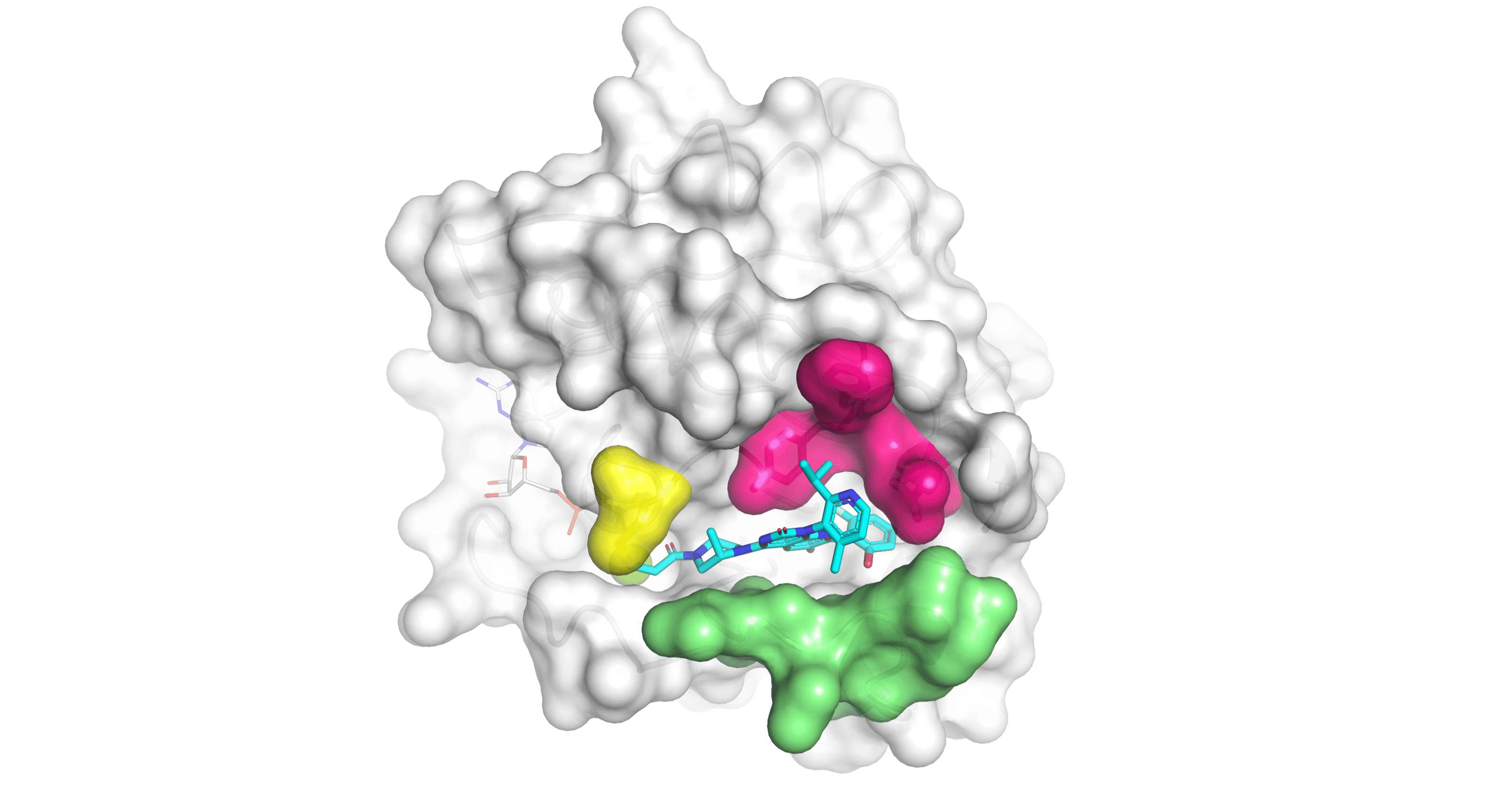 Mutant KRASG12C protein with Amgen's small-molecule inhibitor in the binding pocket